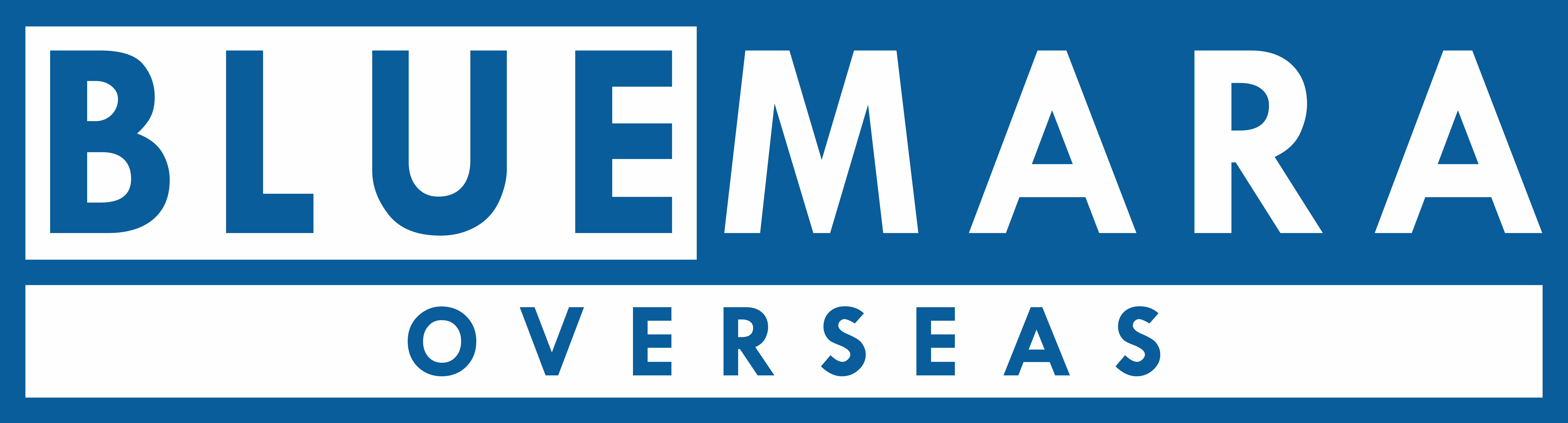BlueMera Logo